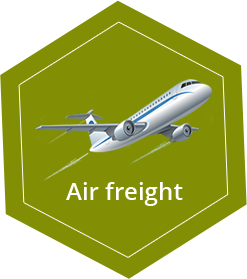 Dominion Freight International | air freight